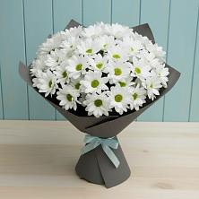 Букет цветов из:  Хризантемы в Барышево