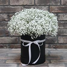 Цветочная композиция из Гипсофила в шляпной коробке в Барышево