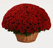 Премиум букет из: Розы в Барышево